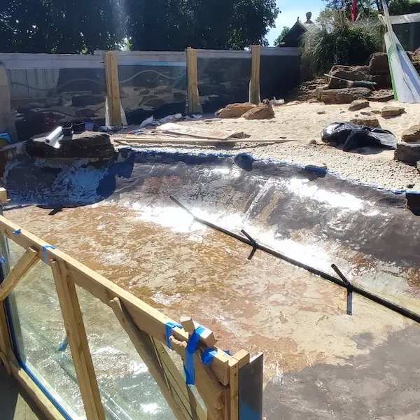 Application of solvent free epoxy primer